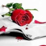 اگر نمی خواستی عاشق شوی  موهایت را چرا پریشان کردی