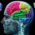 ارتباط مولفه های هوش هیجانی و ریسک فرار از منزل در دختران نوجوان