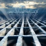 پادشاه 4 همسره !!!