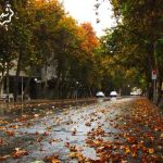 قصه خیابان معروف شهر من