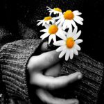 چند نکته ویژه خانم‌ها برای پیشبرد و اعمال نظرات خود در برابر آقایان