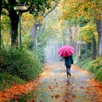 برای زندگی شارژ شوید!