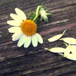 مهمترین عوامل تهدید کننده پایداری خانواده