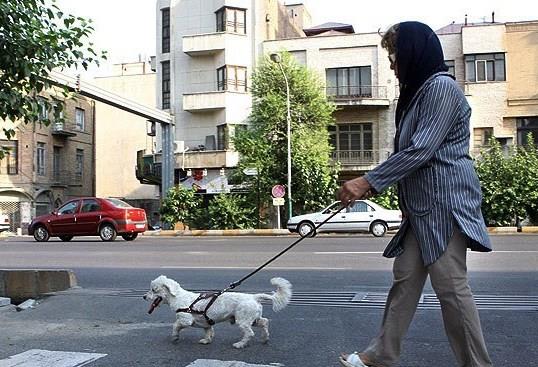 به کجا چُنین شتابان