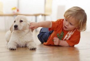 حیوانات خانگی و تاثیر آن در ایجاد آلرژی برای کودکان