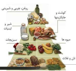 تغذيه صحيح در دوران شيردهي