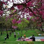 تفریحات اسلامی چه هستند؟