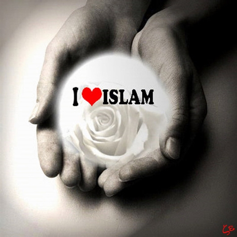 حقیقت اسلام