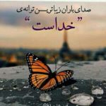 “تسليم با متانت” را تجربه نماييد