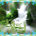 تشرف حاج سيد حسين حائري