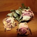 برای برقرای رابطه بهتر چه باید كرد؟
