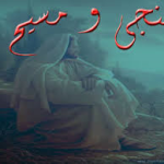 منجي در انجيل به روايت تأويل ها