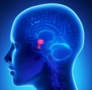 اشتغال چه تأثيری بر روحيات زن دارد ؟