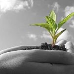 جاودانه ترین ارث برای فرزند