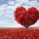 من به اندازه تو مهم هستم