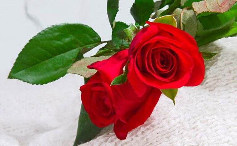 تناسب‌ها در ازدواج