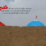 اصطلاحات جنگ 6