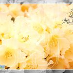داستان حاج سيد مرتضي حسيني
