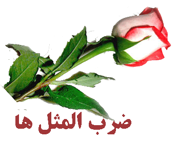 ازدواج از دیدگاه بزرگان