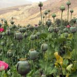 ترياک! از فلاکت تـــــــا تولدي دوباره