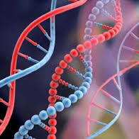 کشف جهش ژنتیکی عامل بروز بیماری‌ها