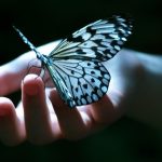 نحوه حضور ارواح