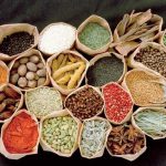 فیتوتراپی (گیاه درمانی) چیست و چه فوایدی دارد؟