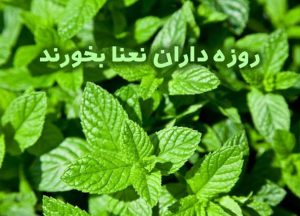 نعناع، ارمغانی گیاهی برای روزه داران