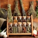 گیاهان مفید برای گوارش در طب آیورودیک