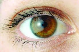 پلک زدن از سطح چشم محافظت می‌کند