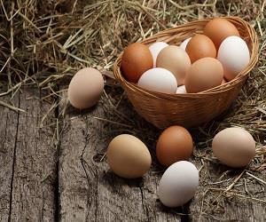5 نکته در مورد تخم مرغ که خوب است بدانید