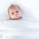 ماههای جنین و بارداری