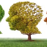 هشت روش مؤثر در تمرکز حافظه