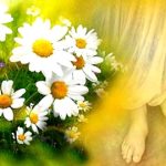 واژه امام در قرآن