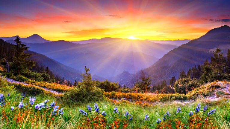 10 فایده نور خورشید برای سلامتی