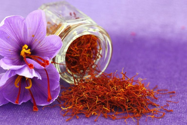 خواص شگفت انگیز زعفران در طب سنتی