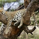 چگونه مي‌توانيم خوب بخوابيم؟