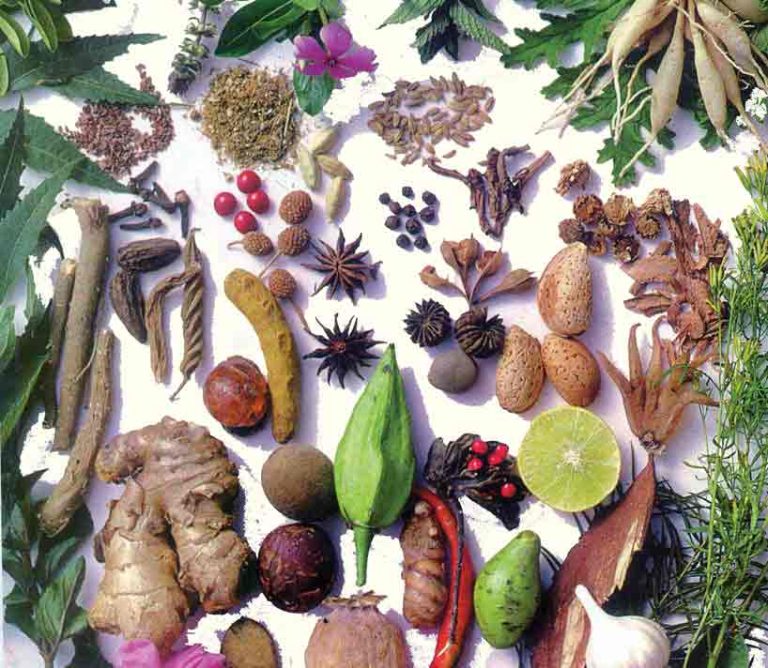 گياهان دارويي در درمان سرخچه