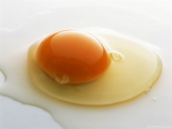 تخم مرغ برای شادابی پوست