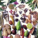 خواص میوه و گیاهان دارویی