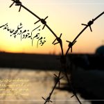 دوكوهه