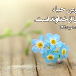 حیا، مراقبتی از درون