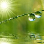 زندگی را در تبلوری رنگارنگ می‏یابم