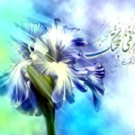 نقش ایمان به نبوت و امامت در بعد ملکوتی اعمال