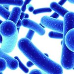 درباره ” وبا ” يا “CHOLERA” بيشتر بدانيم