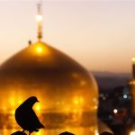 چهل سخن از امام رضا (ع):