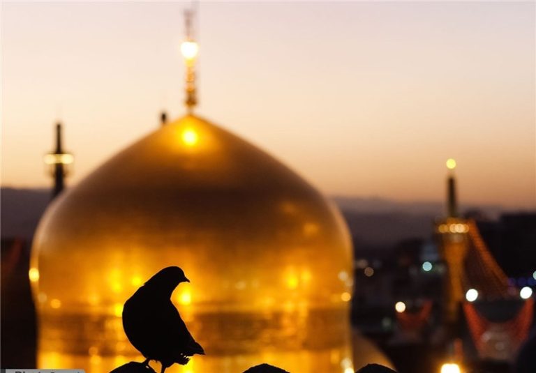چهل سخن از امام رضا (ع):