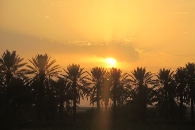 غلام مرتضی