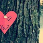 چگونه او را عاشق تر کنيم