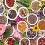 بارداری سریع با طب سنتی